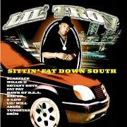 El texto musical DEM NIGGAS de LIL' TROY también está presente en el álbum Sittin' fat down south (1999)