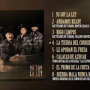 El texto musical YO SOY LA LEY de LOS TUCANES DE TIJUANA también está presente en el álbum Yo soy la ley (2026)