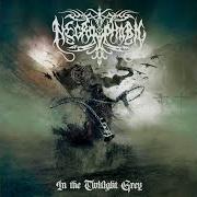 El texto musical SHADOWS OF THE BRIGHTEST NIGHT de NECROPHOBIC también está presente en el álbum In the twilight grey (2024)