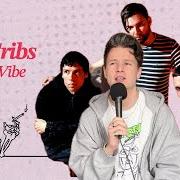 El texto musical LOOKING FOR THE WRONG GUY de THE CRIBS también está presente en el álbum Selling a vibe (2026)