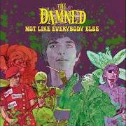 El texto musical MAKING TIME de THE DAMNED también está presente en el álbum Not like everybody else (2026)