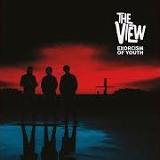 El texto musical ALLERGIC TO MORNINGS de THE VIEW también está presente en el álbum Exorcism of youth (2023)