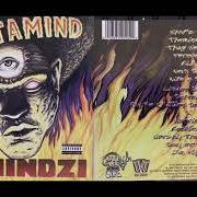 El texto musical X de MASTAMIND también está presente en el álbum Themindzi (2000)