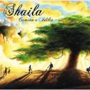 El texto musical NOVIEMBRE de SHAILA también está presente en el álbum Camino a idilia (2006)