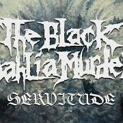 El texto musical TRANSCOSMIC BLUEPRINT de THE BLACK DAHLIA MURDER también está presente en el álbum Servitude (2024)