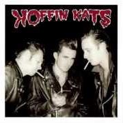 Koffin kats