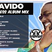 El texto musical IN THE GARDEN de DAVIDO también está presente en el álbum Timeless (2023)