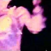 Disko partizani