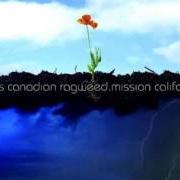 El texto musical WALLS TO CLIMB de CROSS CANADIAN RAGWEED también está presente en el álbum Mission california (2007)