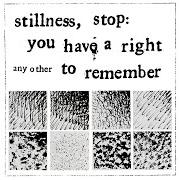 El texto musical STILLNESS, STOP de ANY OTHER también está presente en el álbum Stillness, stop: you have a right to remember (2024)