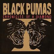 El texto musical GEMINI SUN de BLACK PUMAS también está presente en el álbum Chronicles of a diamond (2023)