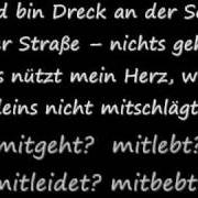 El texto musical WEIN MIR EIN MEER (REMIX) de METRICKZ también está presente en el álbum Verlorene liebe (2023)