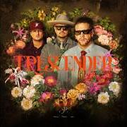 El texto musical REGALITO de PISO 21 también está presente en el álbum Trescender (2026)