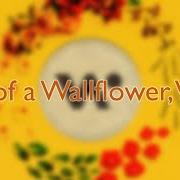 El texto musical PLACE IN MY MIND de WHETHAN también está presente en el álbum Life of a wallflower, vol. 2 (2024)