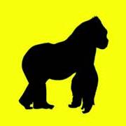 El texto musical 99% de RUSOWSKY también está presente en el álbum Daisy (2025)