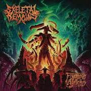 El texto musical VOID OF DESPAIR de SKELETAL REMAINS también está presente en el álbum Fragments of the ageless (2024)