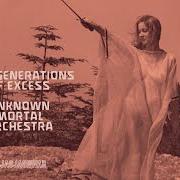 El texto musical TWO GENERATIONS OF EXCESS de UNKNOWN MORTAL ORCHESTRA también está presente en el álbum Two generations of excess (2024)