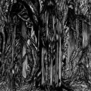 El texto musical ORTHODOX CAVEMAN de SUNN O))) también está presente en el álbum Black one (2005)