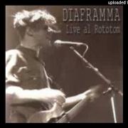 El texto musical AMSTERDAM de FEDERICO FIUMANI también está presente en el álbum Live al rototom (2000)