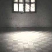 El texto musical ALTROVE de FEDERICO FIUMANI también está presente en el álbum Albori 1979-83 (1997)
