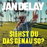 El texto musical ALLE KINDER (FEAT. JAN DELAY) de JAN DELAY también está presente en el álbum Siehst du das genau so? (2024)